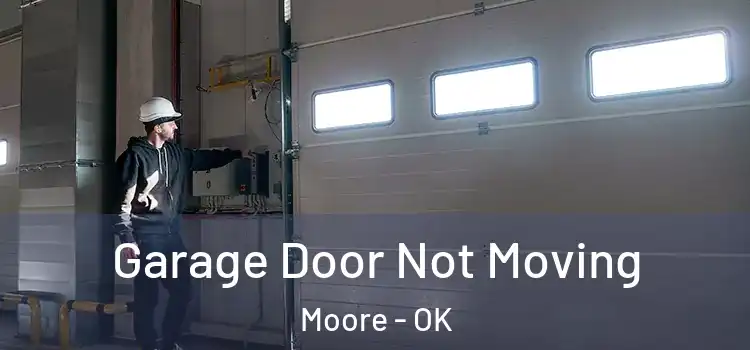 Garage Door Not Moving Moore - OK