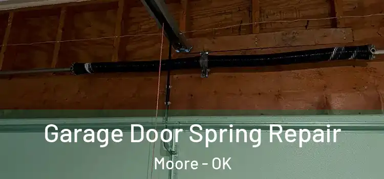  Garage Door Spring Repair Moore - OK