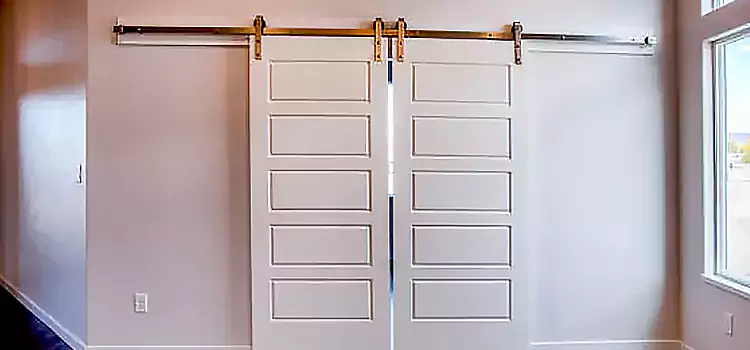 Glass Barn Door with Installation Hardware Kit Moore